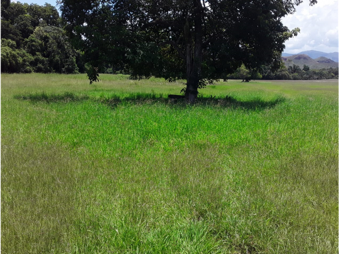 Finca en venta en Pueblo Viejo, Cota, 1200 m² · foto 11 de 14