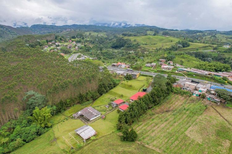 Finca en venta en Tribunas Corcega, Pereira, 500 m² · foto 17 de 24
