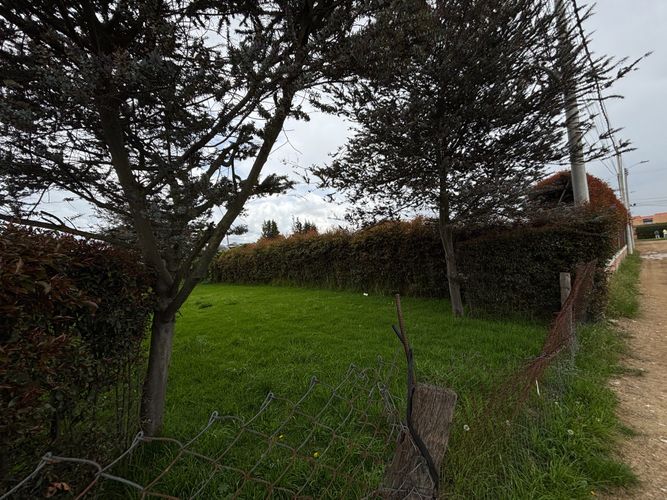 Lote en venta en Canelon, Cajicá, 374 m² · foto 6 de 12
