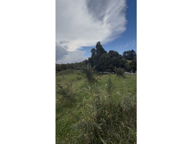 Lote en venta en Las Palmas, Envigado · foto 4 de 10