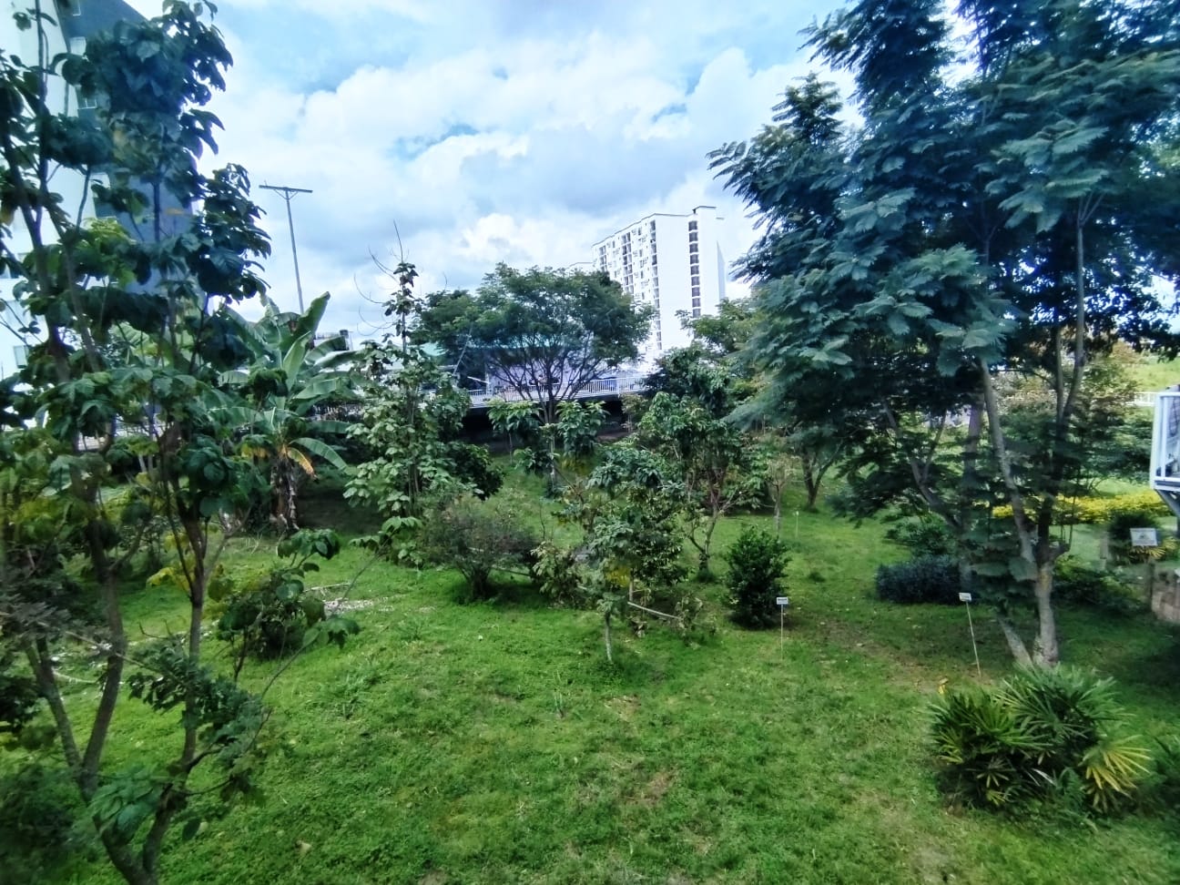 Apartamento en venta en Puerto Espejo, Armenia · foto 9 de 24