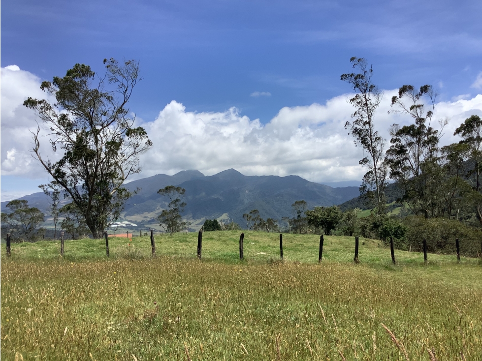 Casa en venta en Frailejonal, La Calera · foto 5 de 15