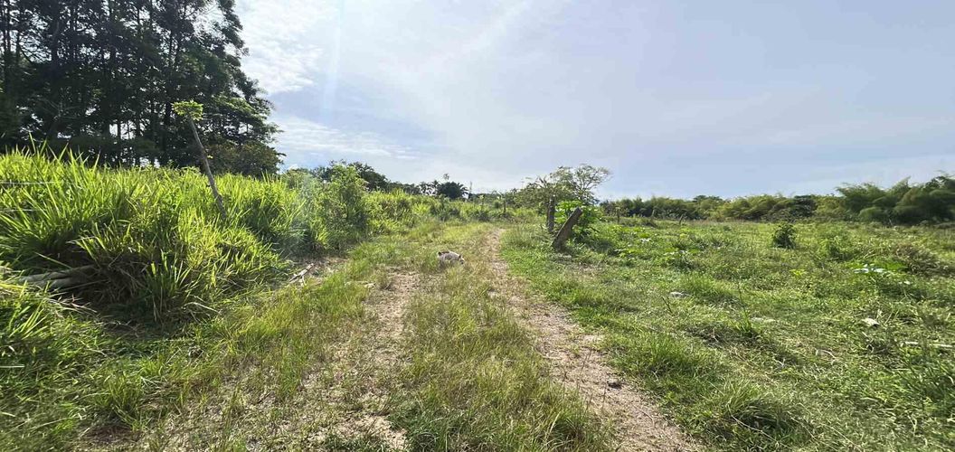 Lote en venta en Cerritos, Pereira · foto 4 de 13