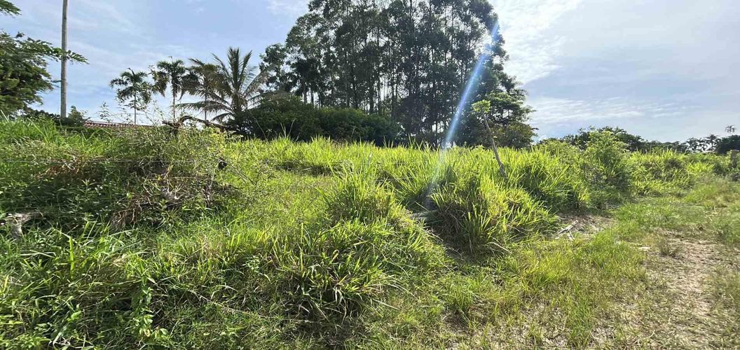 Lote en venta en Cerritos, Pereira · foto 5 de 13