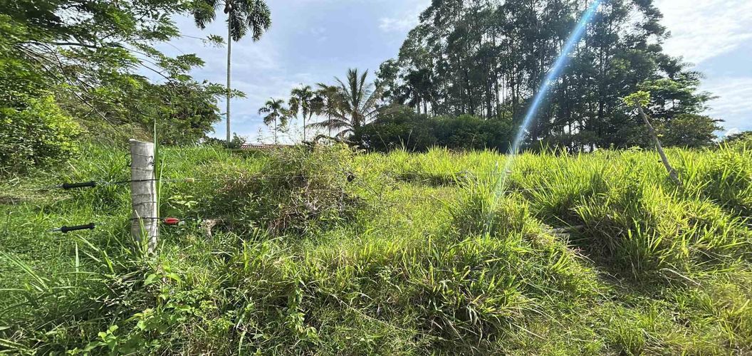 Lote en venta en Cerritos, Pereira · foto 6 de 13