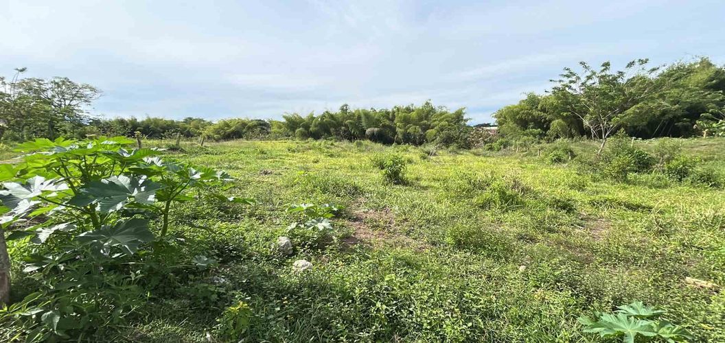 Lote en venta en Cerritos, Pereira · foto 7 de 13