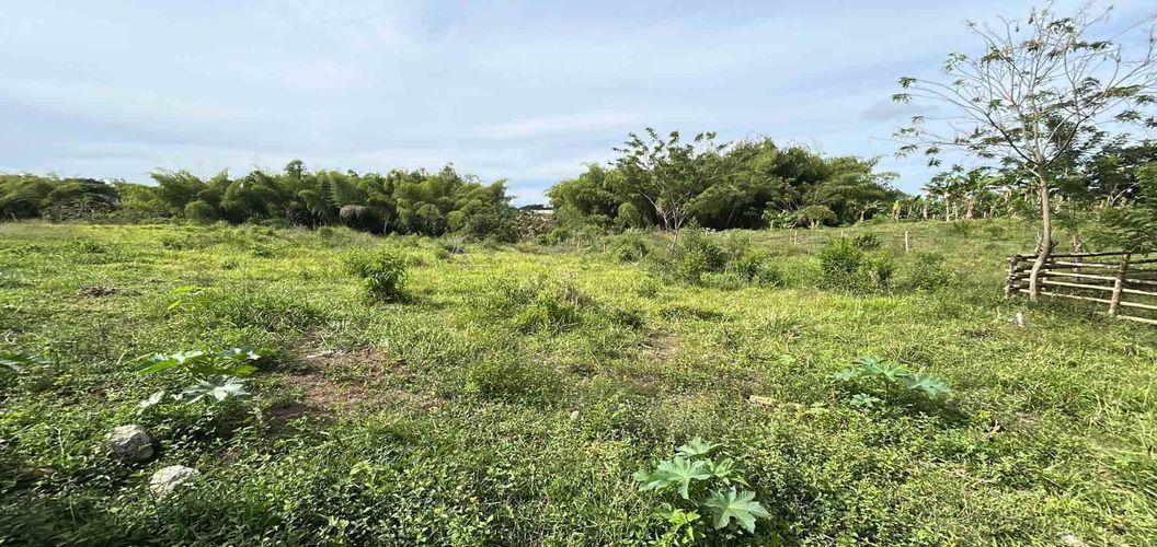 Lote en venta en Cerritos, Pereira · foto 8 de 13