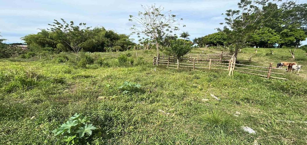 Lote en venta en Cerritos, Pereira · foto 9 de 13
