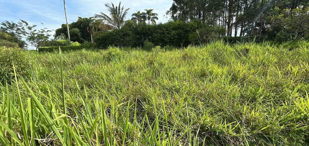 Lote en venta en Cerritos, Pereira · foto 10 de 13