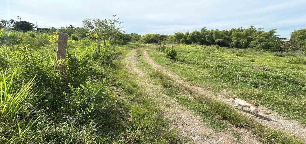 Lote en venta en Cerritos, Pereira · foto 12 de 13