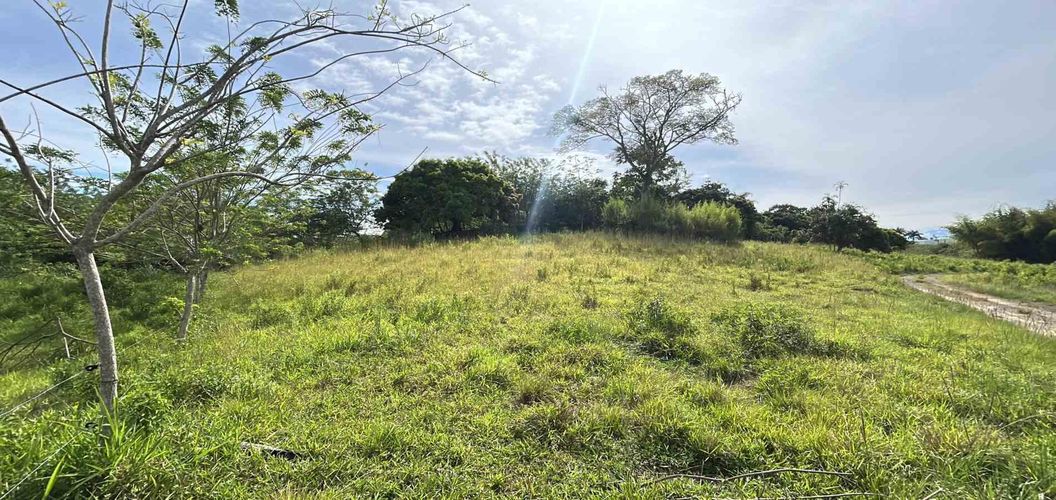 Lote en venta en Cerritos, Pereira · foto 3 de 12