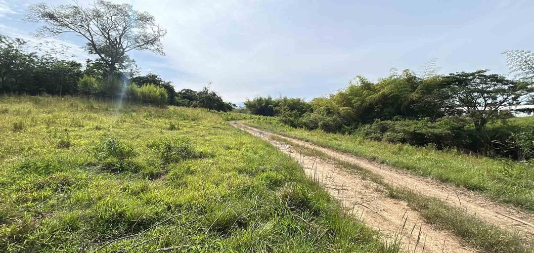 Lote en venta en Cerritos, Pereira · foto 5 de 12