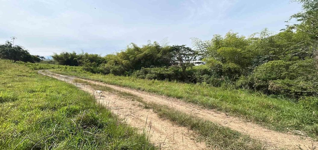 Lote en venta en Cerritos, Pereira · foto 6 de 12