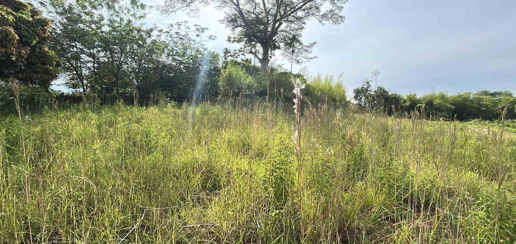 Lote en venta en Cerritos, Pereira · foto 8 de 12