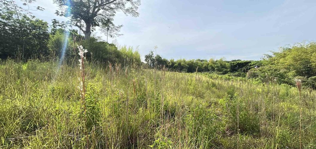 Lote en venta en Cerritos, Pereira · foto 9 de 12