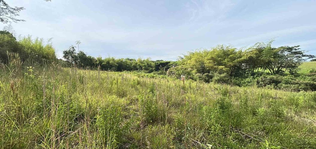 Lote en venta en Cerritos, Pereira · foto 10 de 12
