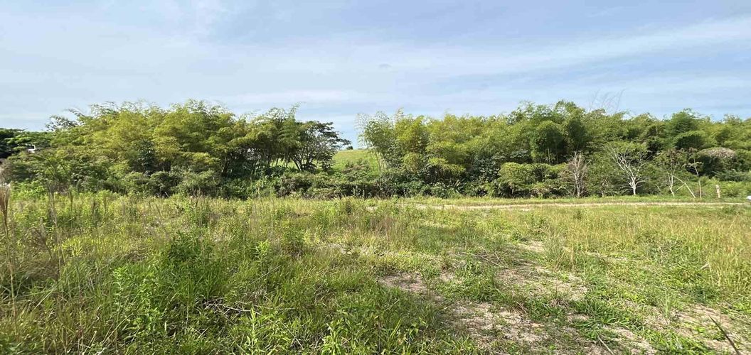 Lote en venta en Cerritos, Pereira · foto 11 de 12