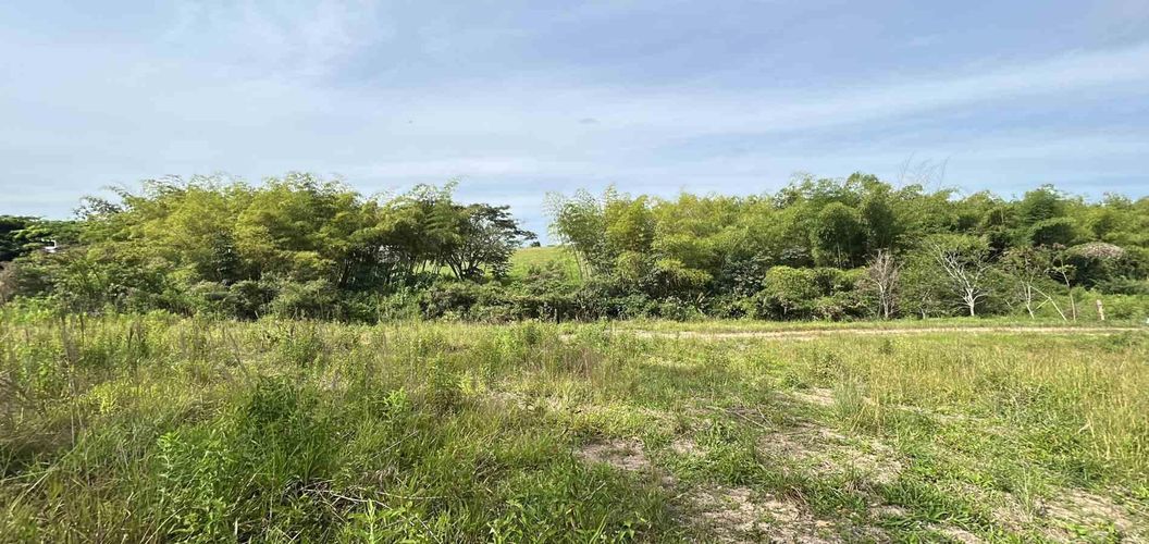 Lote en venta en Cerritos, Pereira · foto 12 de 12