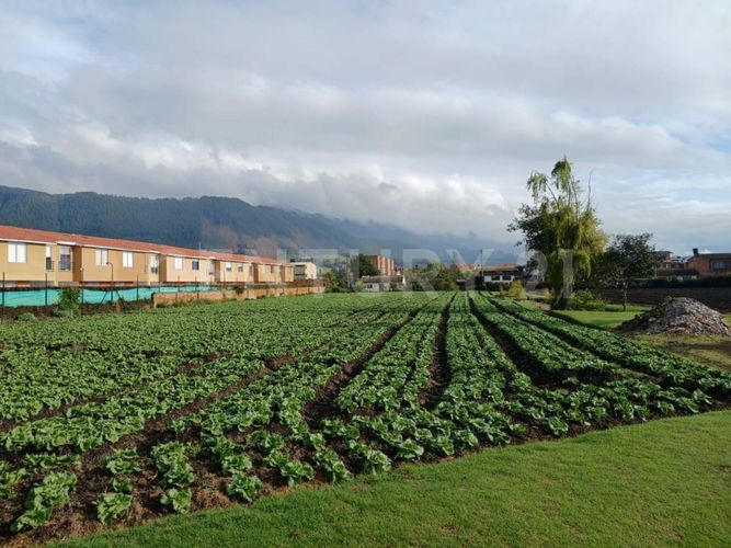 Lote en venta en Tiquiza, Cajicá, 761 m² · foto 10 de 11