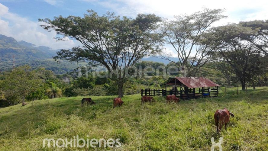 Finca en venta en Morron, Medellín, 460 m² · foto 2 de 24
