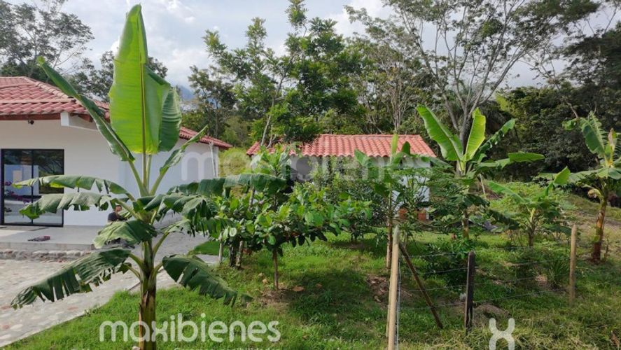 Finca en venta en Morron, Medellín, 460 m² · foto 6 de 24
