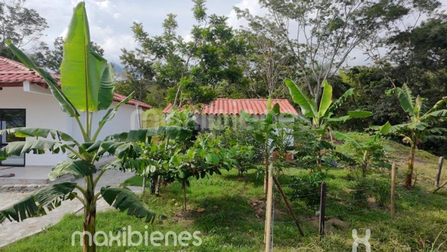 Finca en venta en Morron, Medellín, 460 m² · foto 11 de 24