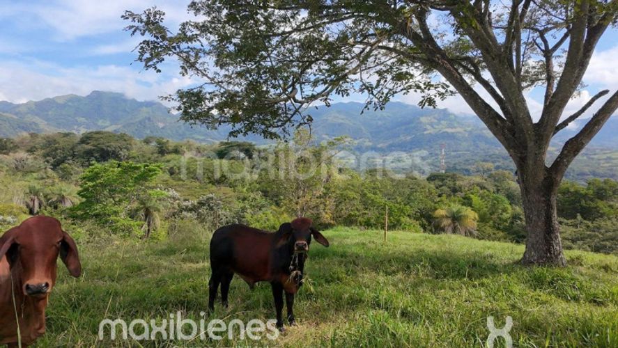 Finca en venta en Morron, Medellín, 460 m² · foto 19 de 24