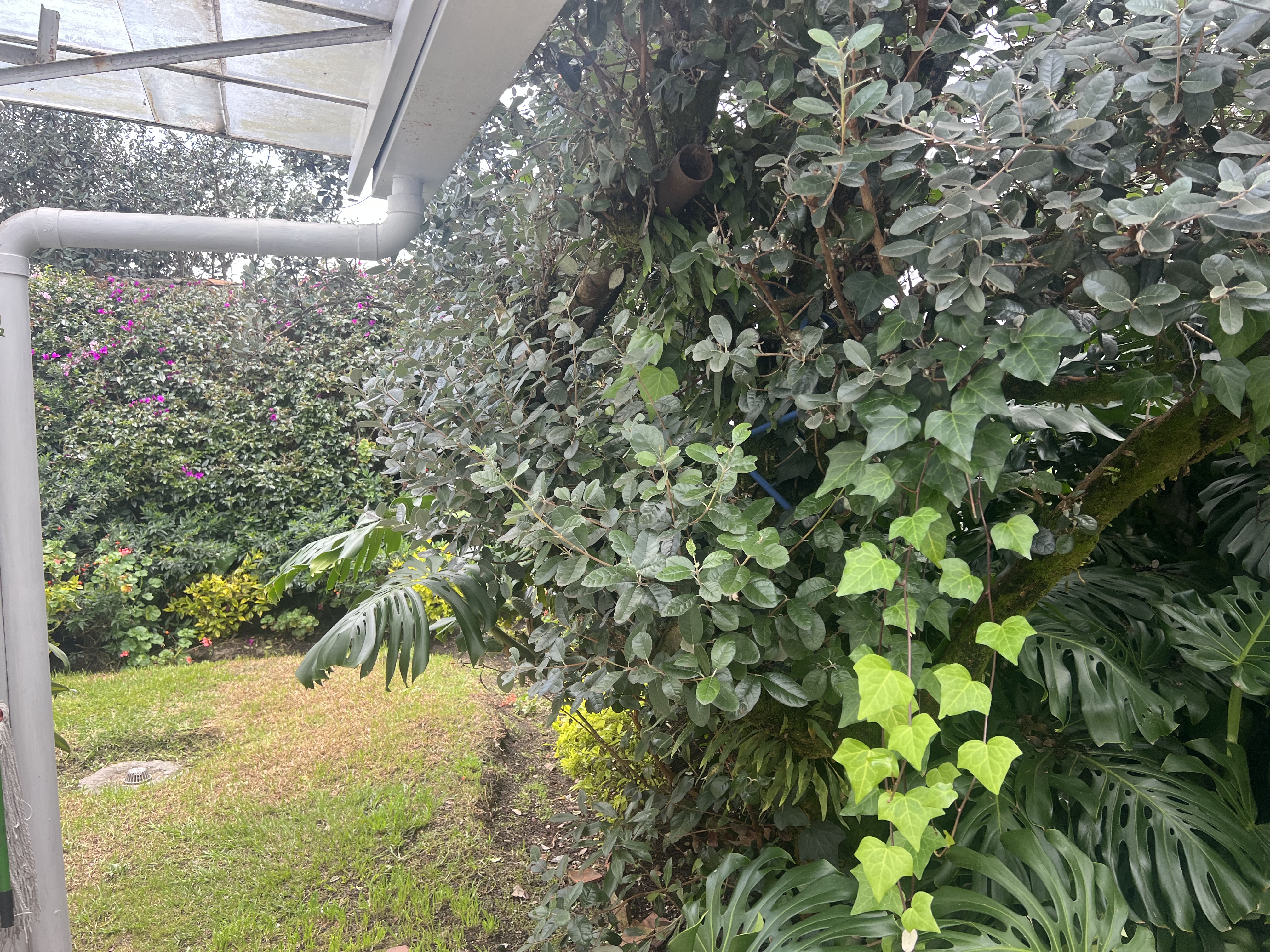 Casa en venta en Prado Veraniego, Bogotá · foto 15 de 24