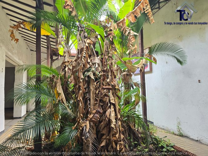 Casa en venta en Antonia Santos Centro, Bucaramanga, 390 m² · foto 7 de 15
