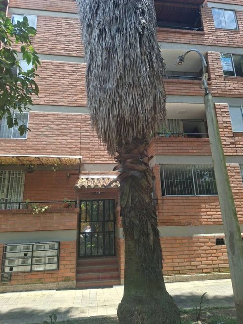 Apartamento en venta en Laureles, Medellín · foto 13 de 14