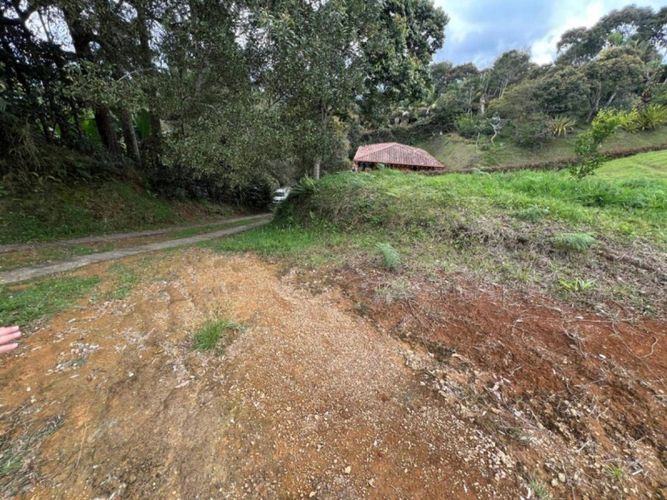 Lote en venta en El Carmen De Viboral, El Carmen de Viboral, 1953 m² · foto 8 de 24