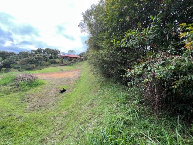 Lote en venta en El Carmen De Viboral, El Carmen de Viboral, 1953 m² · foto 12 de 24