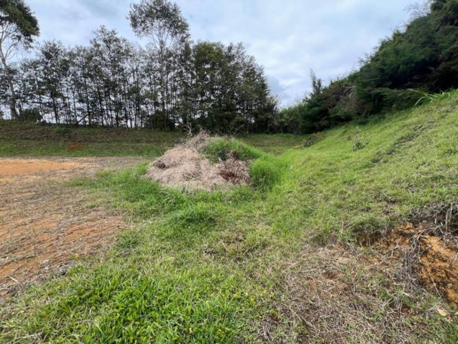 Lote en venta en El Carmen De Viboral, El Carmen de Viboral, 1953 m² · foto 16 de 24