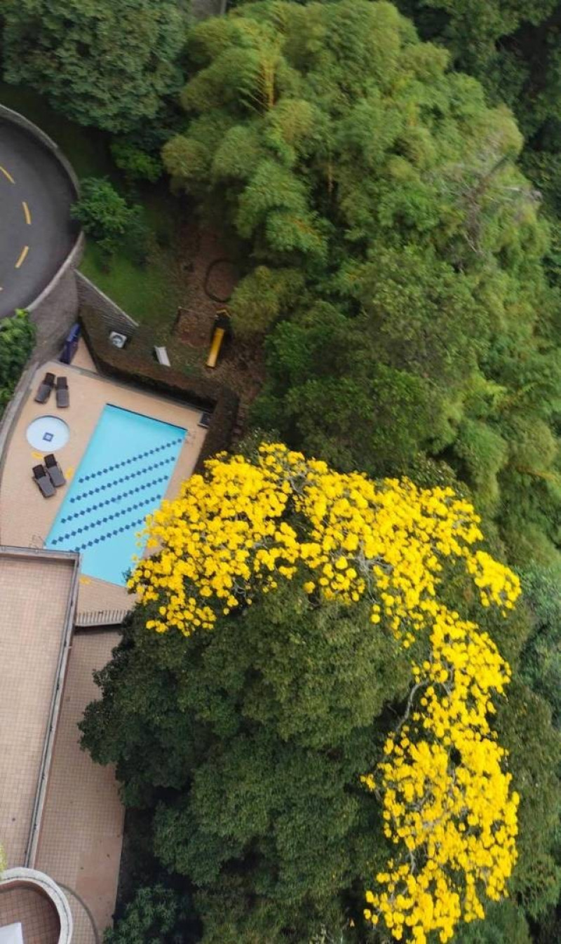 Apartamento en arriendo en El Poblado, Medellín · foto 12 de 12