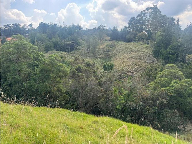 Lote en venta en El Carmen De Viboral, El Carmen de Viboral, 3333 m² · foto 9 de 12
