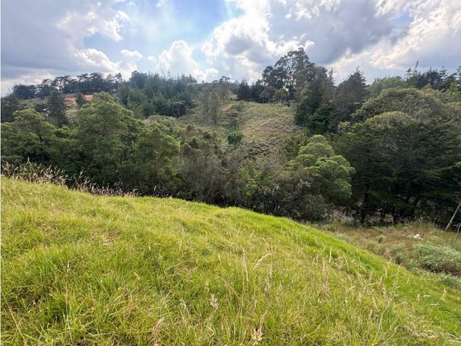 Lote en venta en El Carmen De Viboral, El Carmen de Viboral, 3333 m² · foto 10 de 12