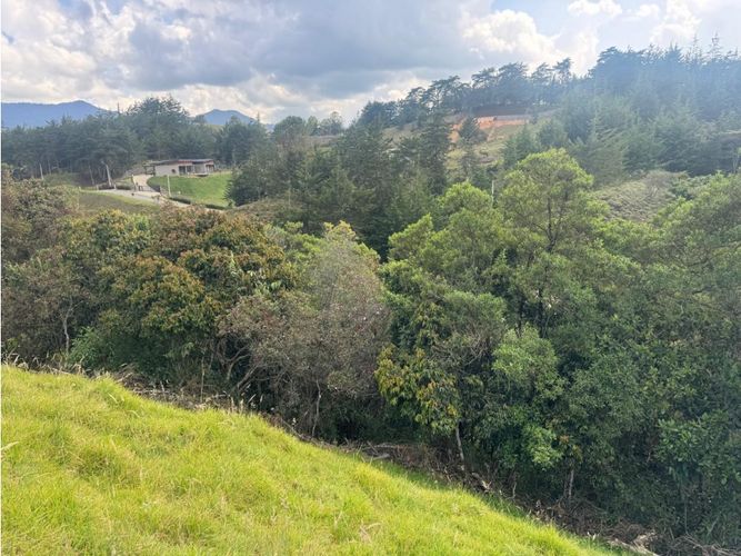 Lote en venta en El Carmen De Viboral, El Carmen de Viboral, 3333 m² · foto 11 de 12