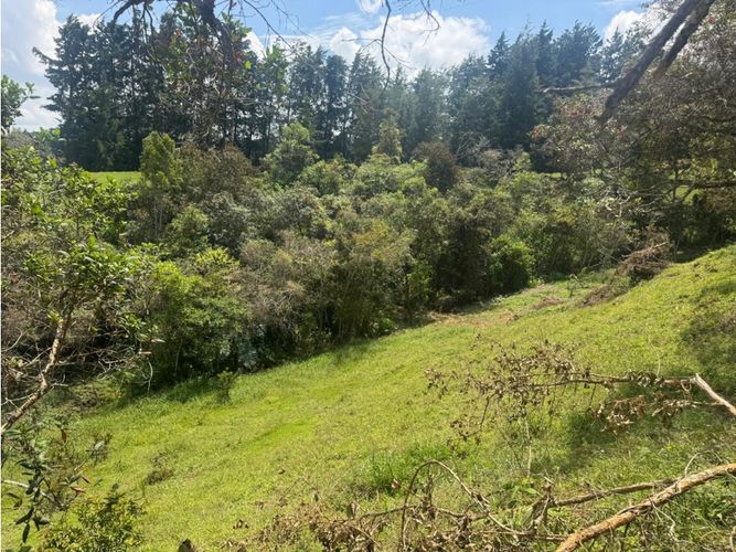 Lote en venta en La Mosquita, Rionegro, 8821 m² · foto 10 de 10