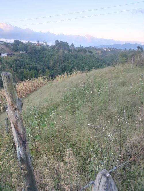 Lote en venta en El Carmen De Viboral, El Carmen de Viboral, 7300 m² · foto 2 de 4