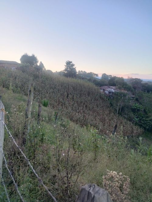 Lote en venta en El Carmen De Viboral, El Carmen de Viboral, 7300 m² · foto 4 de 4