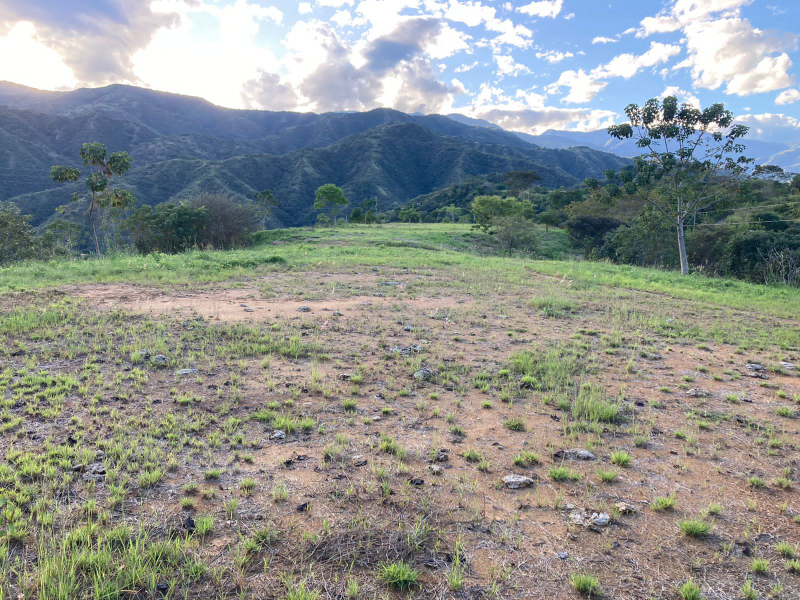 Land in El espinal (3525 m²) for Sale - 2