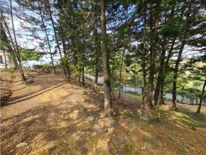 Casa de 4 alcobas en venta en El Porvenir, Rionegro, 300 m² · foto 11 de 13