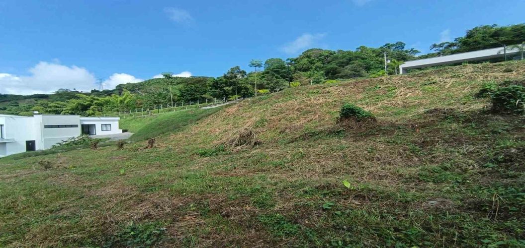 Lote en venta en El Rosario, Manizales, 2665 m² · foto 5 de 22