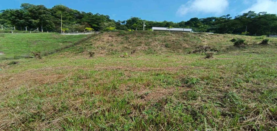 Lote en venta en El Rosario, Manizales, 2665 m² · foto 3 de 22