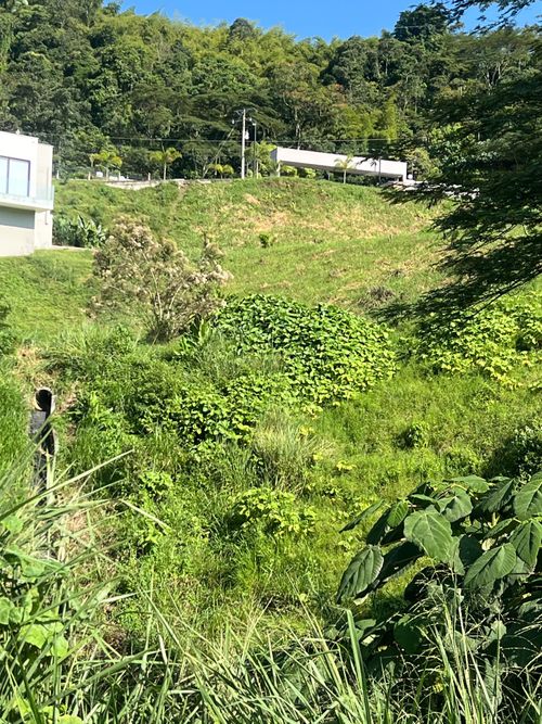 Lote en venta en El Rosario, Manizales, 2665 m² · foto 16 de 22