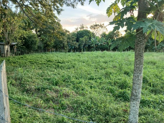 Lote en venta en Los Garzones, Montería, 1263 m² · foto 2 de 12