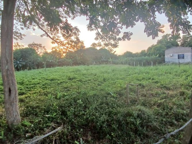 Lote en venta en Los Garzones, Montería, 1263 m² · foto 3 de 12