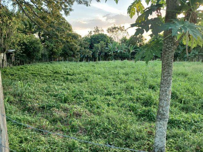 Lote en venta en Los Garzones, Montería, 1263 m² · foto 5 de 12