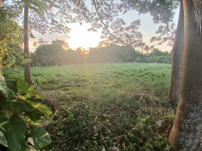 Lote en venta en Los Garzones, Montería, 1263 m² · foto 6 de 12