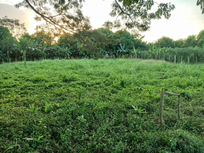 Lote en venta en Los Garzones, Montería, 1263 m² · foto 7 de 12